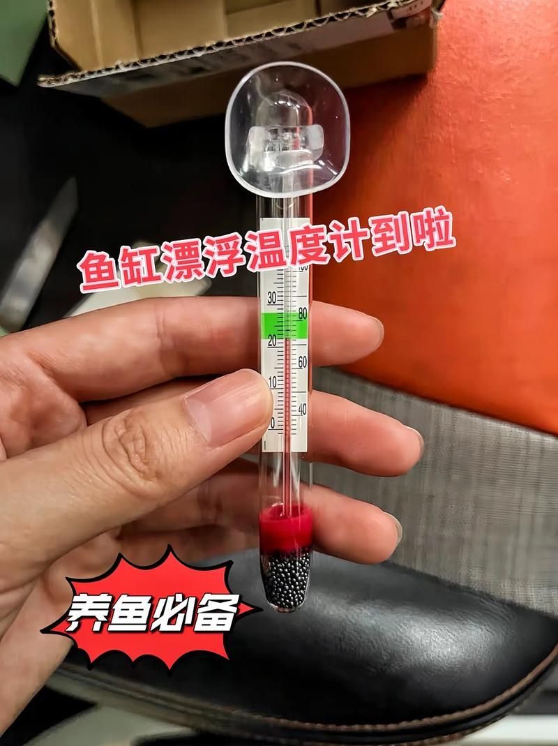 龍魚趴缸最簡單三個步驟，關于龍魚趴缸的一些建議