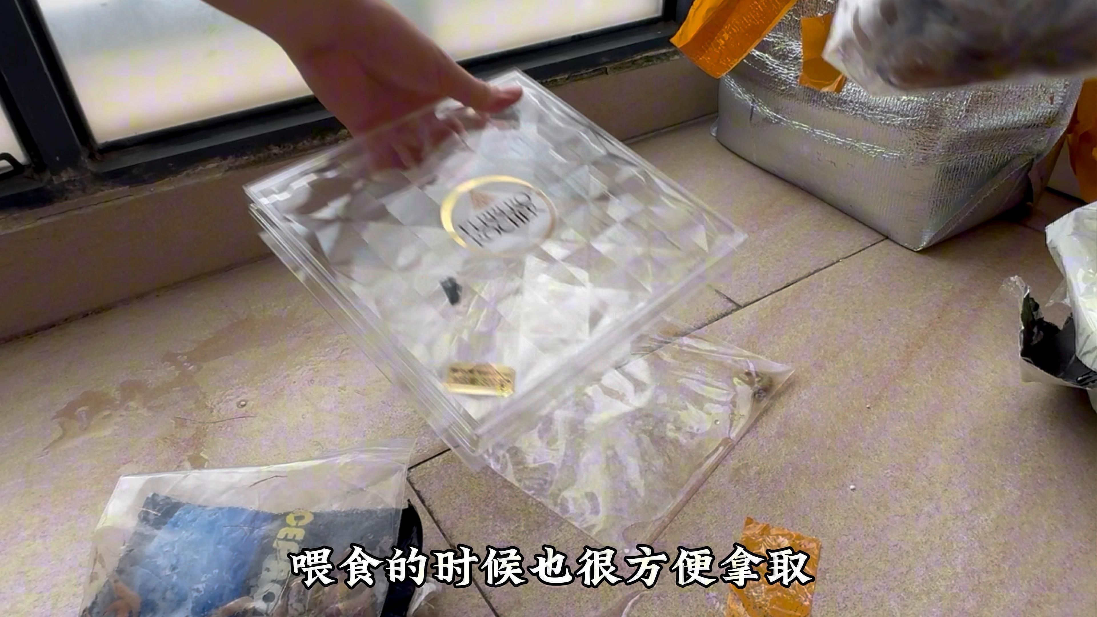 有哪些食物可以增強龍魚的骨骼發育？，哪些食物可以增強龍魚的骨骼發育？