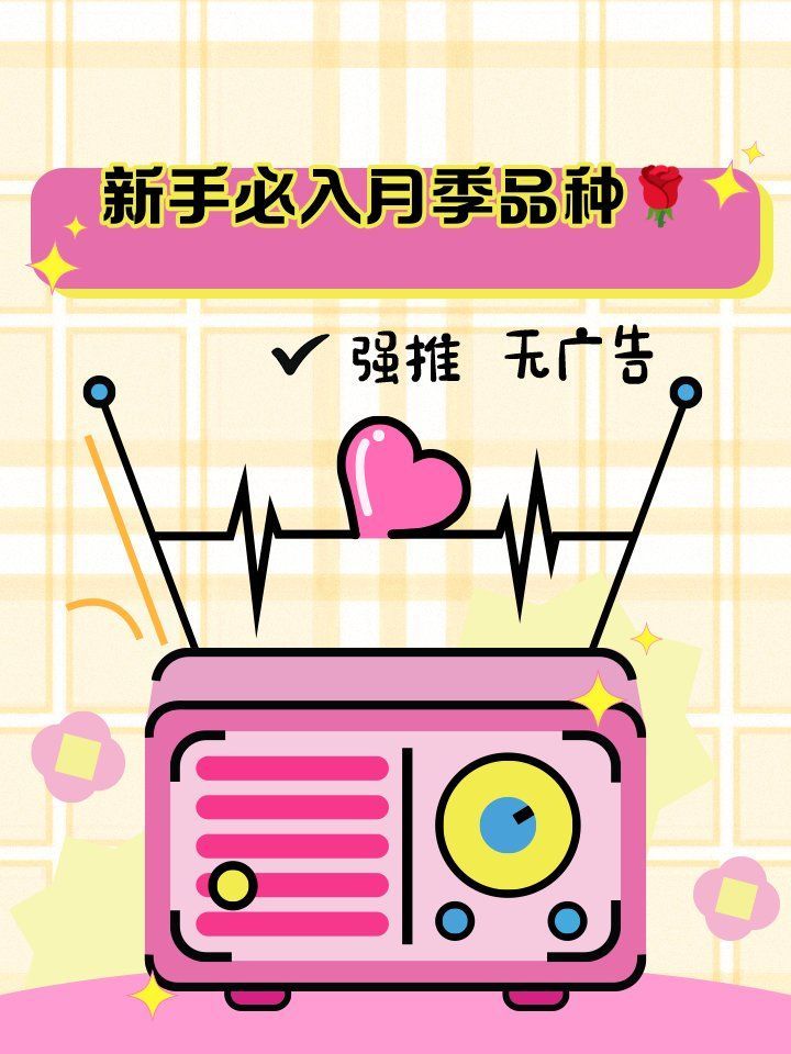 有哪些月季品種適合新手養殖，10款適合新手養殖的月季品種推薦，適合新手養殖月季