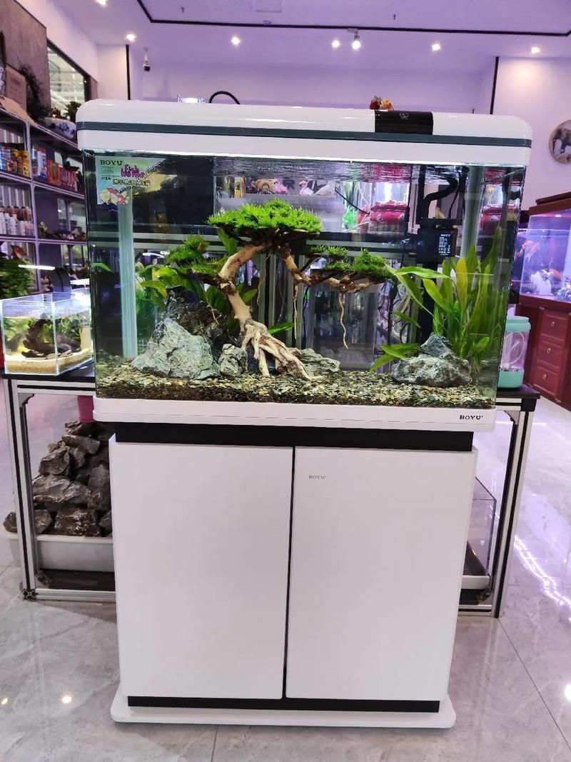 森森、閩江、博宇哪個(gè)品牌最好？