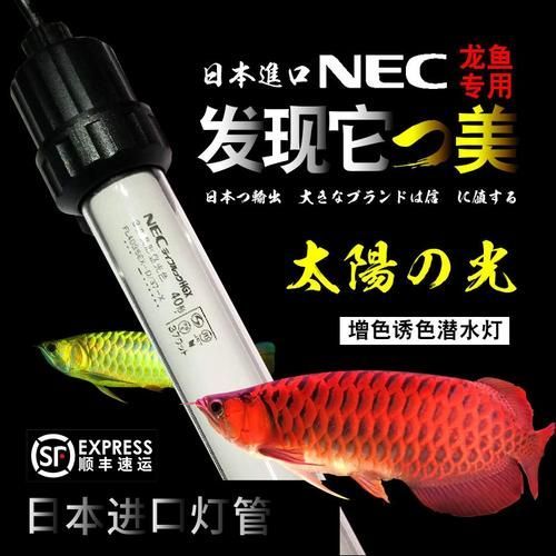哪個品牌的nec龍魚燈最好？，nec龍魚燈價格范圍是多少nec龍魚燈的真偽