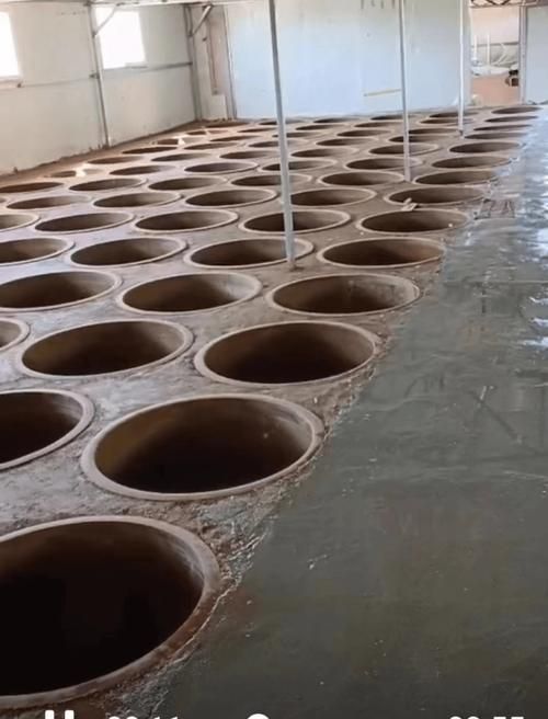 活性發酵工藝與傳統工藝有何區別，活性發酵工藝與傳統發酵工藝與傳統工藝有何區別思考