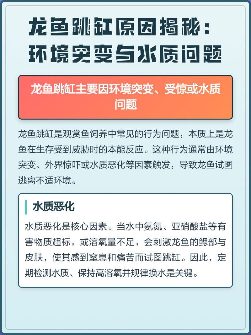 如何判斷龍魚是否想跳缸，如何判斷龍魚是否想跳缸，