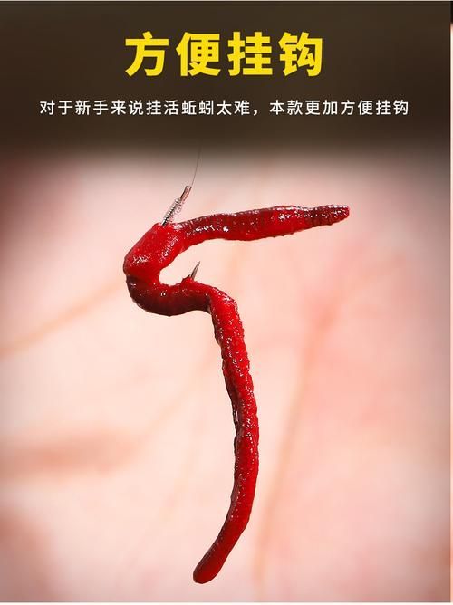如何準備和清潔活餌，如何準備和清潔活餌思考完成