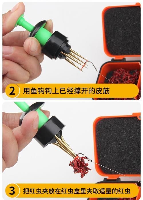 如何準備和清潔活餌，如何準備和清潔活餌思考完成