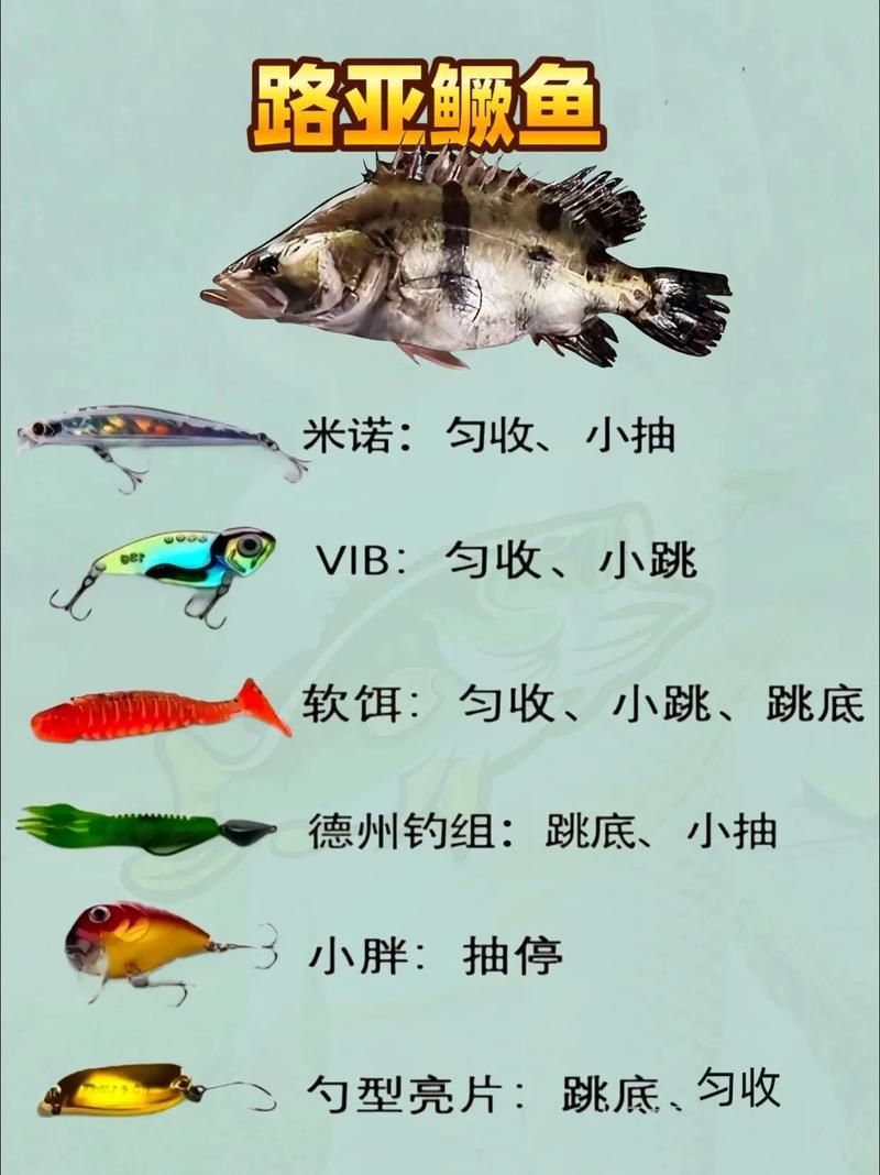 能否提供廣東釣觀魚的詳細攻略，廣東釣觀魚攻略