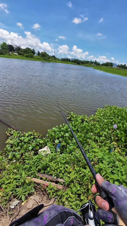 如何預約廣東觀魚釣場，如何預約廣東觀魚釣場，用戶要求詳解