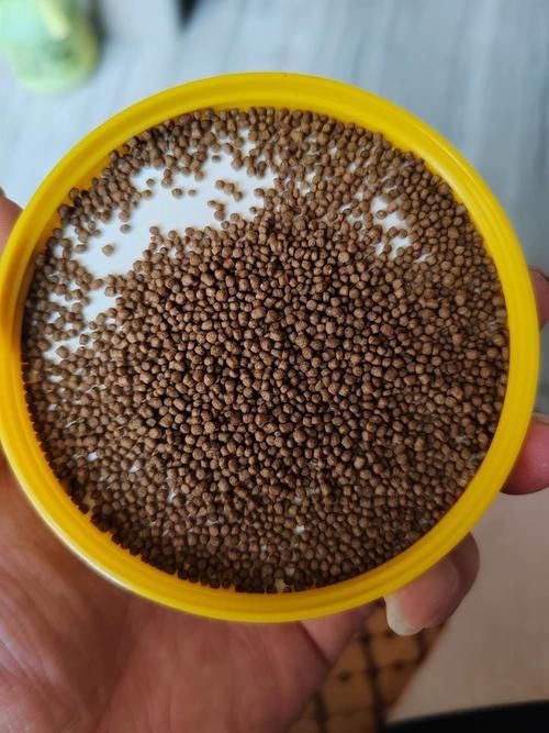 魚浮頭后應(yīng)該如何喂食