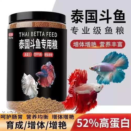 魚浮頭后應(yīng)該如何喂食
