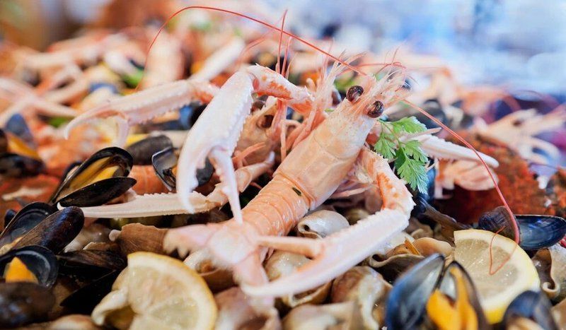 如何徹底殺死鲅魚體內的寄生蟲，如何徹底殺死鲅魚體內寄生蟲