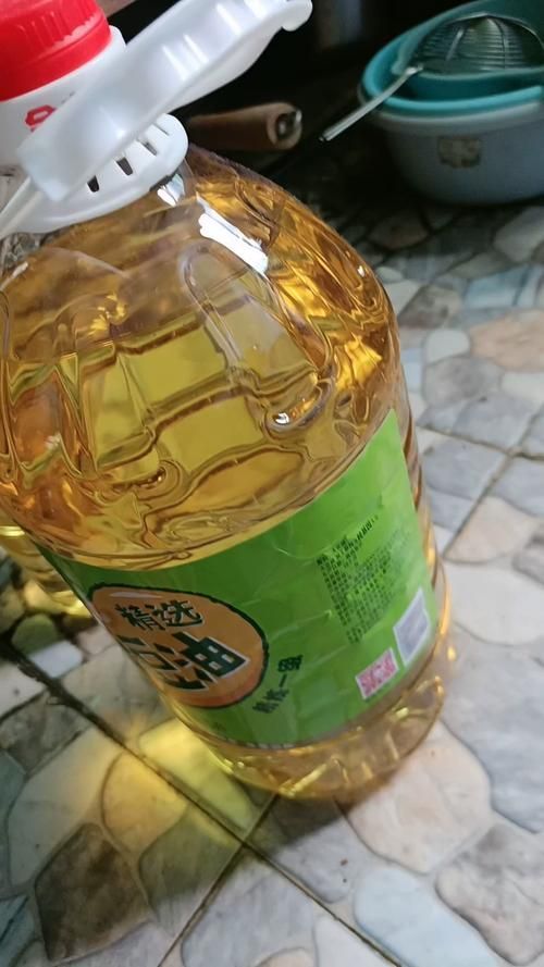 金龍魚的市場價格未來走勢如何，金龍魚價格走勢分析