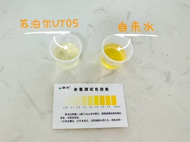 如何改善龍魚缸的水質和環境？，如何改善龍魚缸水質與環境