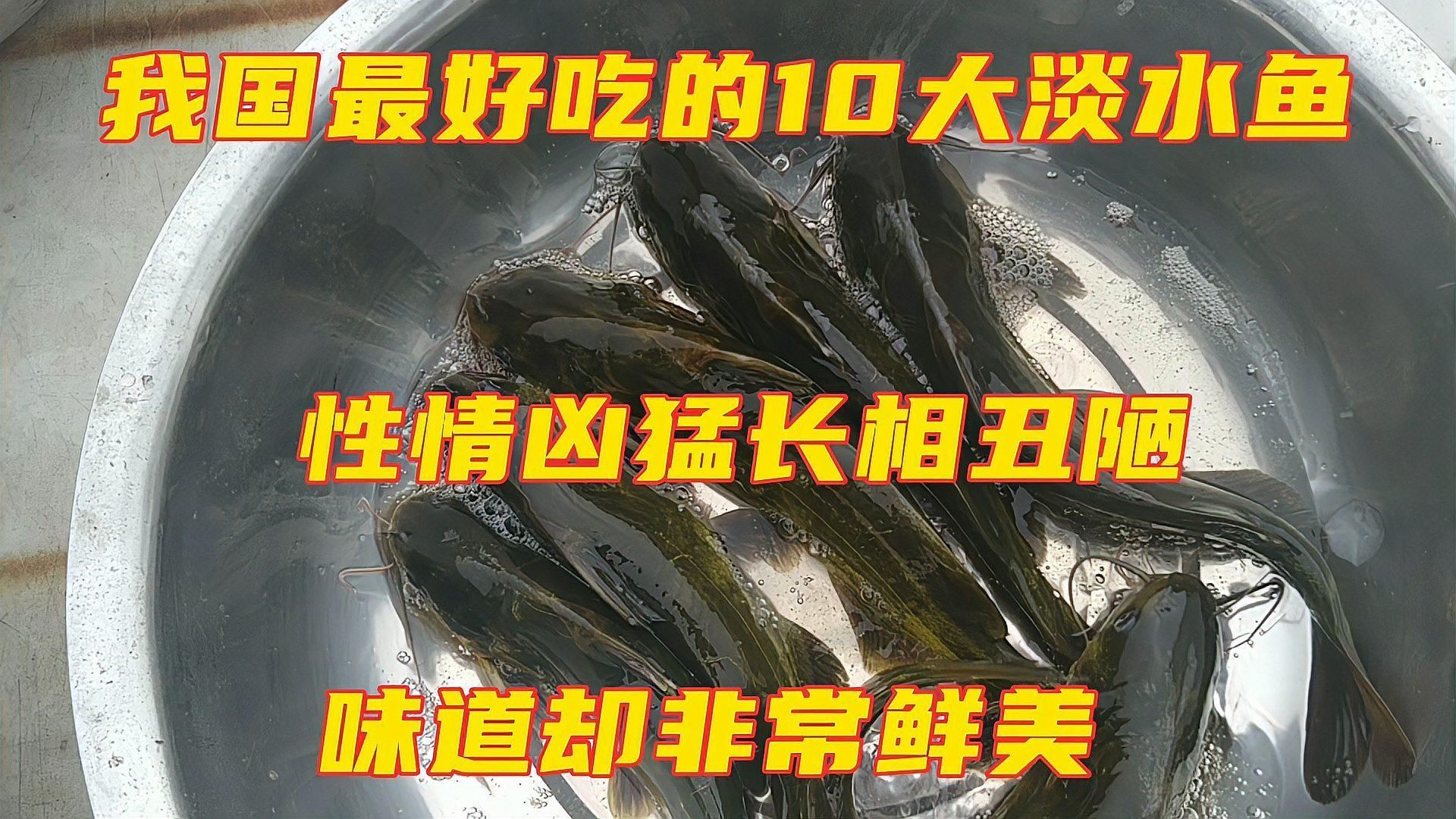能否提供十大暴利淡水魚的詳細養殖技術，能否提供十大暴利淡水魚的詳細養殖技術,能提供一對一診斷與定制化養殖計劃
