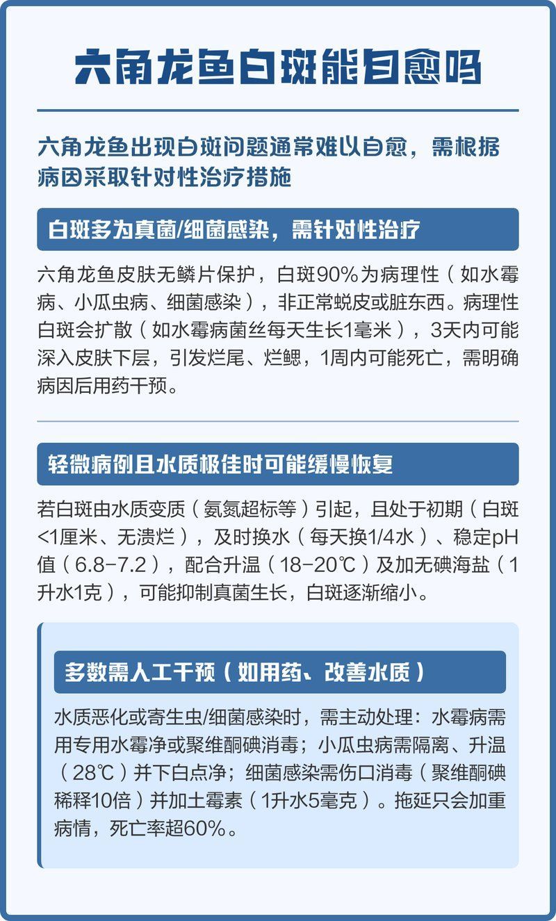 龍魚背上發(fā)霉會自愈嗎，龍魚背上發(fā)霉會自愈嗎龍魚背上發(fā)霉會自愈嗎