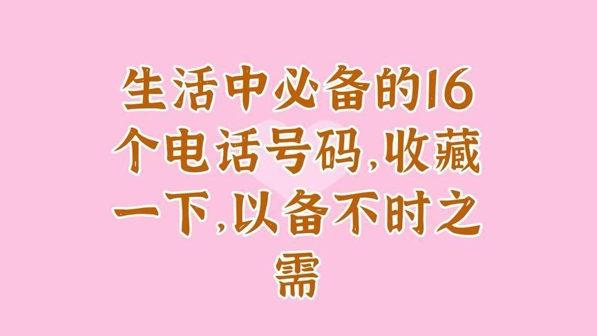 除了電話，還有哪些聯系方式？，60厘米高的缸養龍魚需要哪些注意事項60厘米缸養龍魚