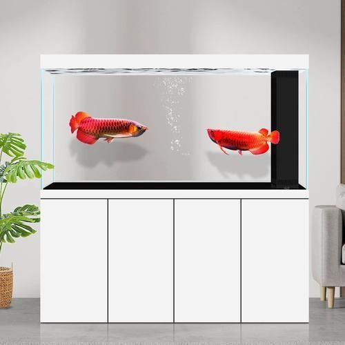 祥龍魚(yú)場(chǎng)有哪些性?xún)r(jià)比高的龍魚(yú)缸推薦？，祥龍魚(yú)場(chǎng)性?xún)r(jià)比高的龍魚(yú)缸推薦