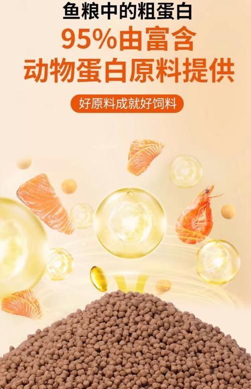 如何預防金魚炸鱗病，如何預防金魚炸鱗病（松鱗病）