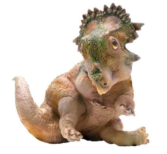 哪個(gè)品牌適合幼龍階段，《怪物獵人》幼龍模型制作