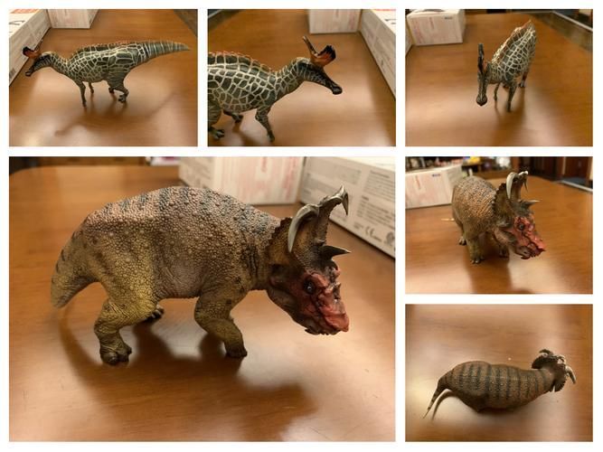哪個品牌適合幼龍階段，《怪物獵人》幼龍模型制作
