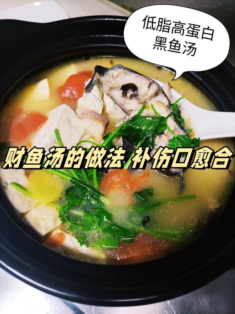 如何搭配食物以促進魚傷口愈合，促進傷口愈合的食物搭配方案