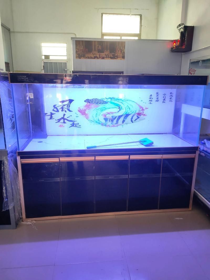 如何選購合適的龍魚缸？