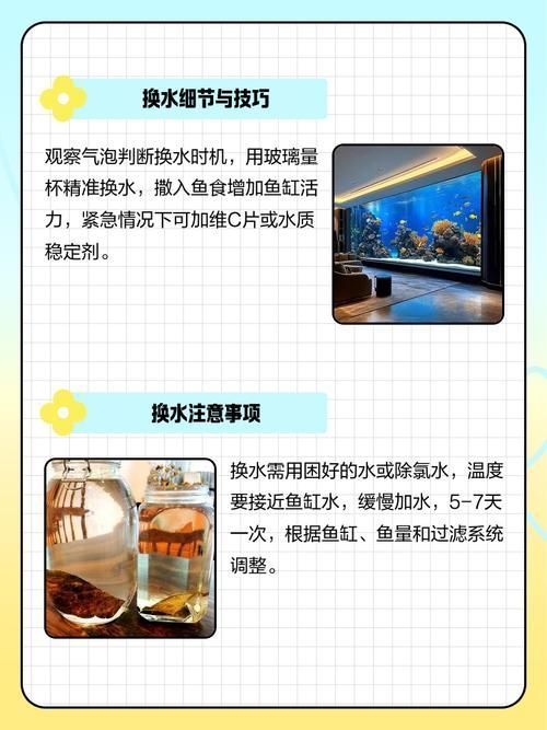 如何預防爛尾魚的發生，arxiv論文助手可輔助獲取最新的水產病理學研究論文