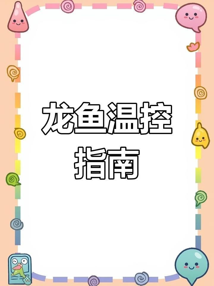 養(yǎng)龍魚需要哪些設備，養(yǎng)龍魚需要準備以下設備