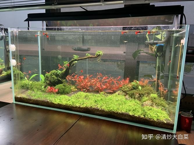 如何區分真假祥龍魚場產品？，如何區分富媒體祥龍魚場產品？