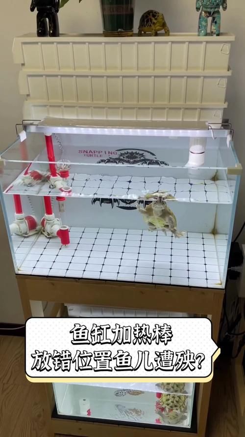 可麗愛魚缸安裝時有哪些常見錯誤？