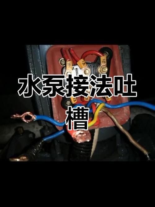 可麗愛魚缸安裝時有哪些常見錯誤？