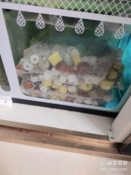 如何維護(hù)龍魚的過濾系統(tǒng)？，如何維護(hù)龍魚過濾系統(tǒng)