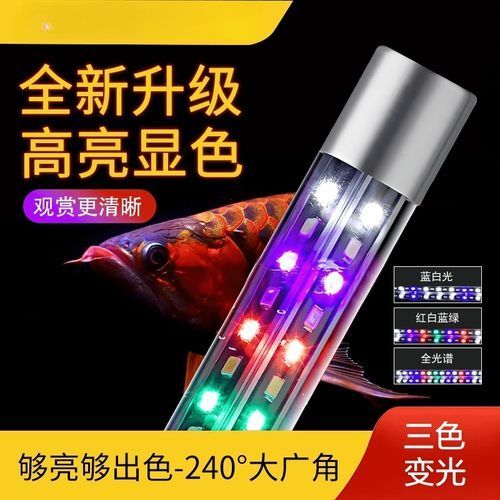 億得勝變色龍魚燈的價格是多少？，億得勝變色龍魚燈價格是多少億得勝變色龍魚燈價格是多少