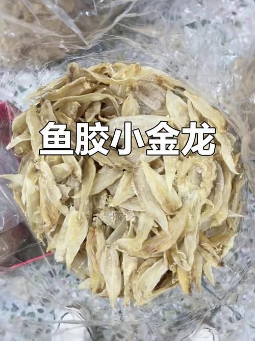 金龍魚膠和水龍魚哪個(gè)更有營(yíng)養(yǎng)？，水龍魚膠和金龍魚哪個(gè)更有營(yíng)養(yǎng)？