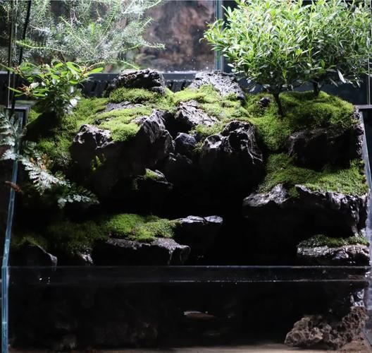 如何選擇適合的水鴨魚缸？，如何選擇適合的水陸缸搭建