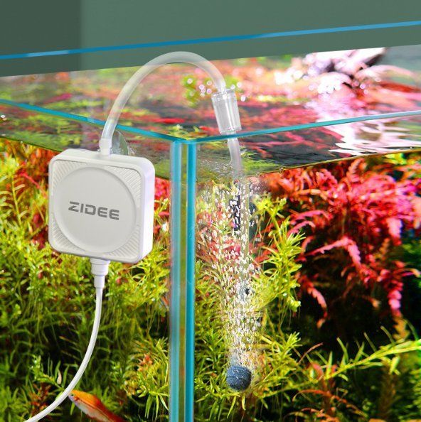 龍魚懸浮時如何補充氧氣？，增氧泵正確位置補充寵物氧氣評測