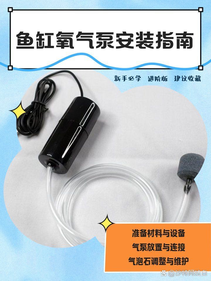 龍魚懸浮時如何補充氧氣？，增氧泵正確位置補充寵物氧氣評測