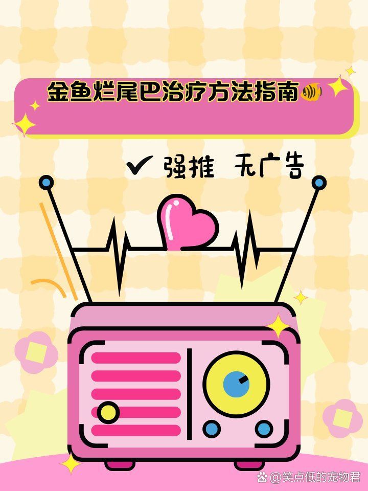 金魚(yú)爛尾如何治療最有效，寵物喂養(yǎng)秘籍，金魚(yú)爛尾巴最快治療法
