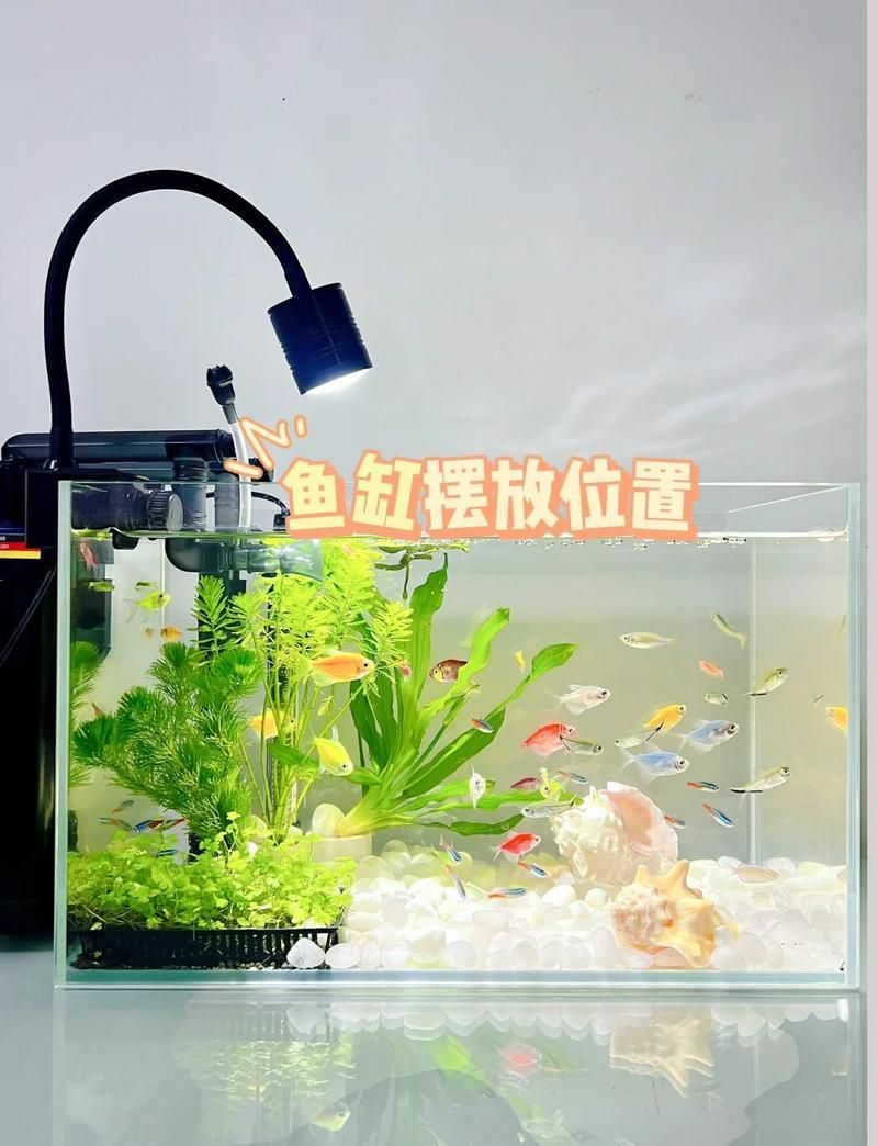 龍魚缸如何擺放，龍魚缸如何擺放，龍魚缸擺放指南