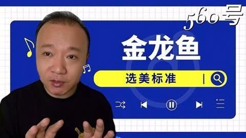 有沒有更多賽級金龍魚的品種推薦，如何區分金龍魚的不同級別邁向國際共運