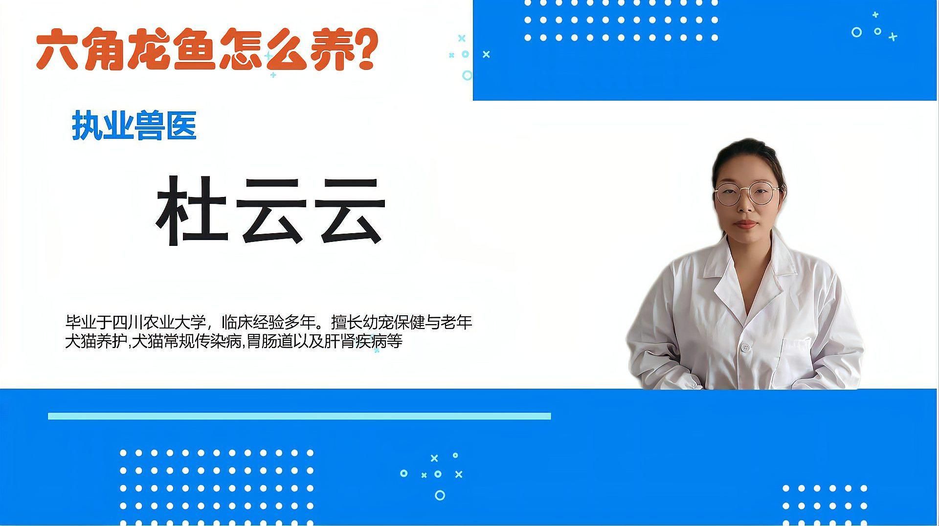 六角龍魚多久換一次水合適，六角龍魚多久換一次水合適,