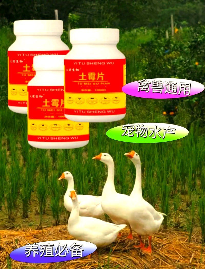 有哪些輔助措施可以提升土霉素療效，土霉素與土霉素聯合治療能提升土霉素療效嗎？