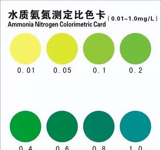 如何檢測龍魚缸中的氨氮含量？，龍魚缸氨氮檢測