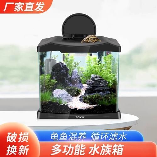 博宇和森森哪個更值得購買？，博宇和森森哪個更值得購買