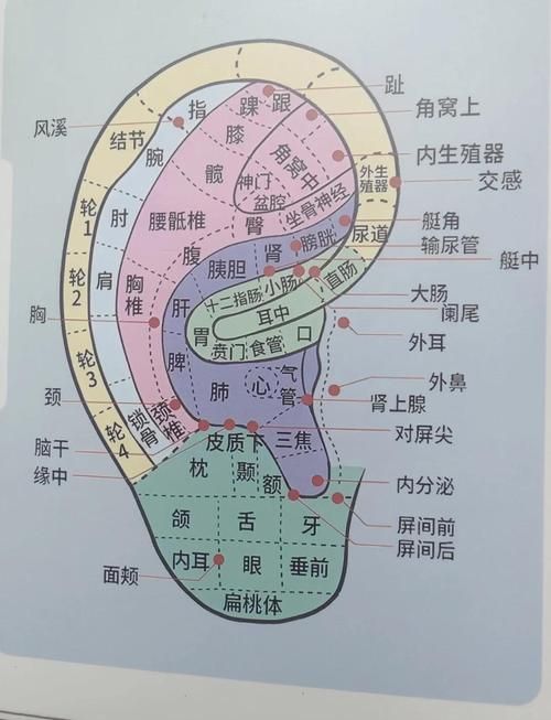 有哪些偏方可以治療氣蒙眼，“氣蒙眼”是民間對“急性青光眼”的俗稱