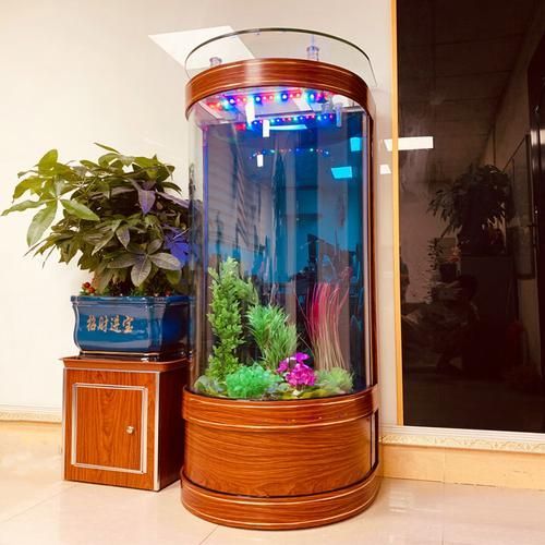 瑞龍魚缸有哪些型號可選？，瑞龍魚缸有哪些型號可選瑞龍水族官方旗艦店