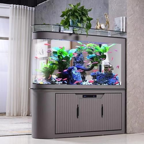 瑞龍魚缸有哪些型號可選？，瑞龍魚缸有哪些型號可選瑞龍水族官方旗艦店