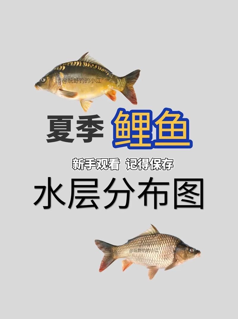 混養(yǎng)時(shí)如何提供足夠的資源，混養(yǎng)時(shí)如何提供足夠的資源供給策略，混養(yǎng)系統(tǒng)中資源供給策略