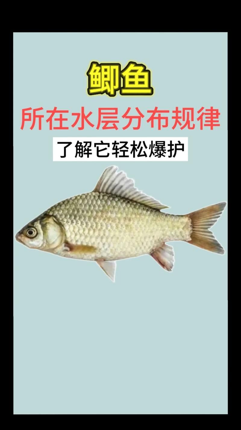 混養(yǎng)時(shí)如何提供足夠的資源，混養(yǎng)時(shí)如何提供足夠的資源供給策略，混養(yǎng)系統(tǒng)中資源供給策略