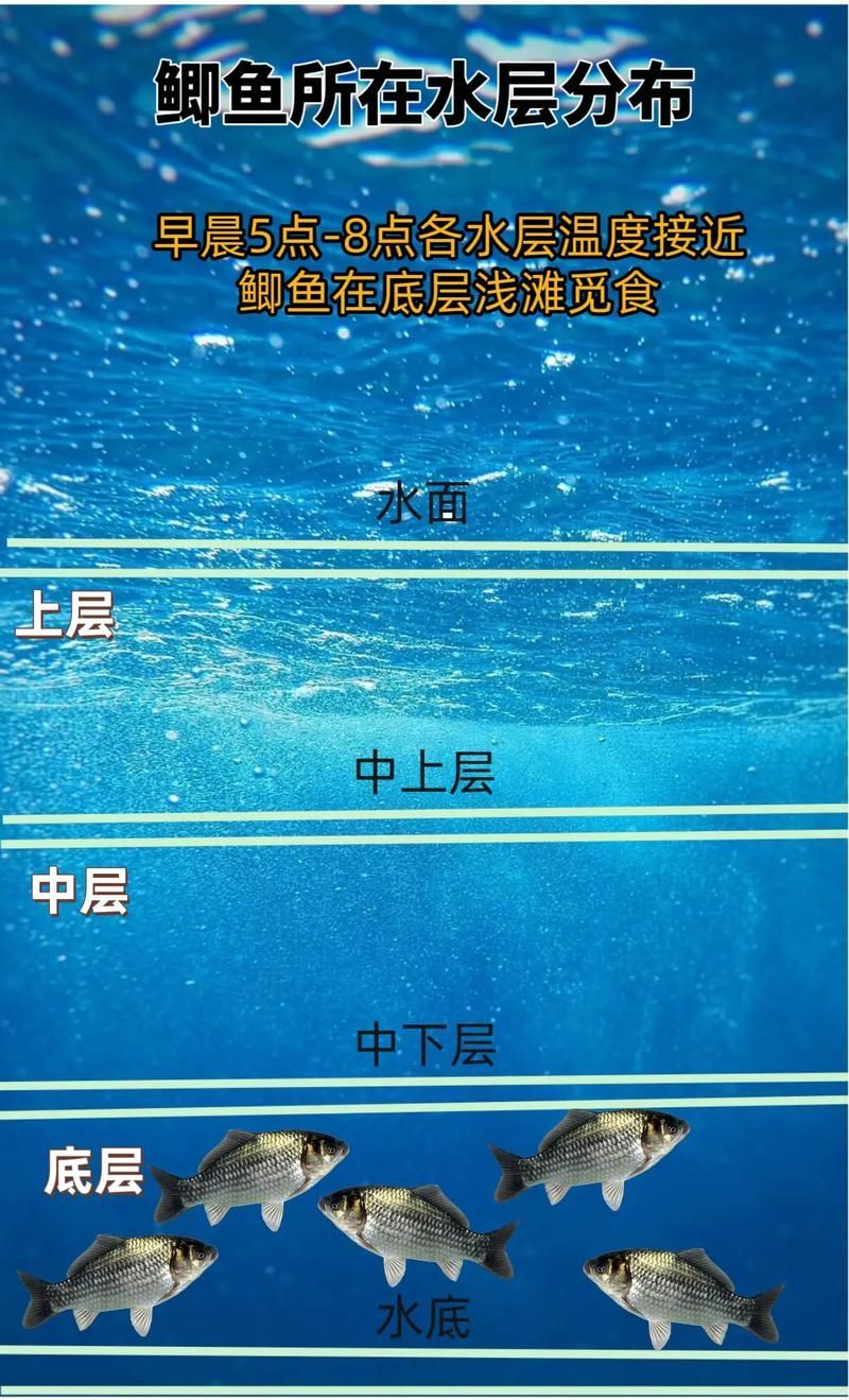 混養(yǎng)時(shí)如何提供足夠的資源，混養(yǎng)時(shí)如何提供足夠的資源供給策略，混養(yǎng)系統(tǒng)中資源供給策略