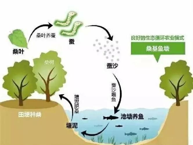 混養(yǎng)時(shí)如何提供足夠的資源，混養(yǎng)時(shí)如何提供足夠的資源供給策略，混養(yǎng)系統(tǒng)中資源供給策略